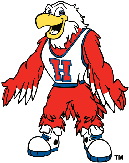 Hartford Hawks 1984-Pres Mascot Logo t shirts DIY iron ons v2
